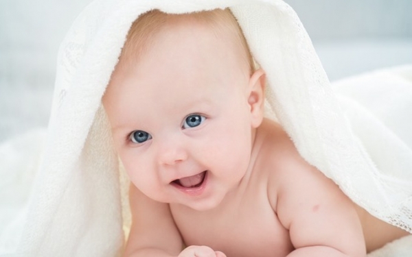 sunat123.com - sunat di rumah